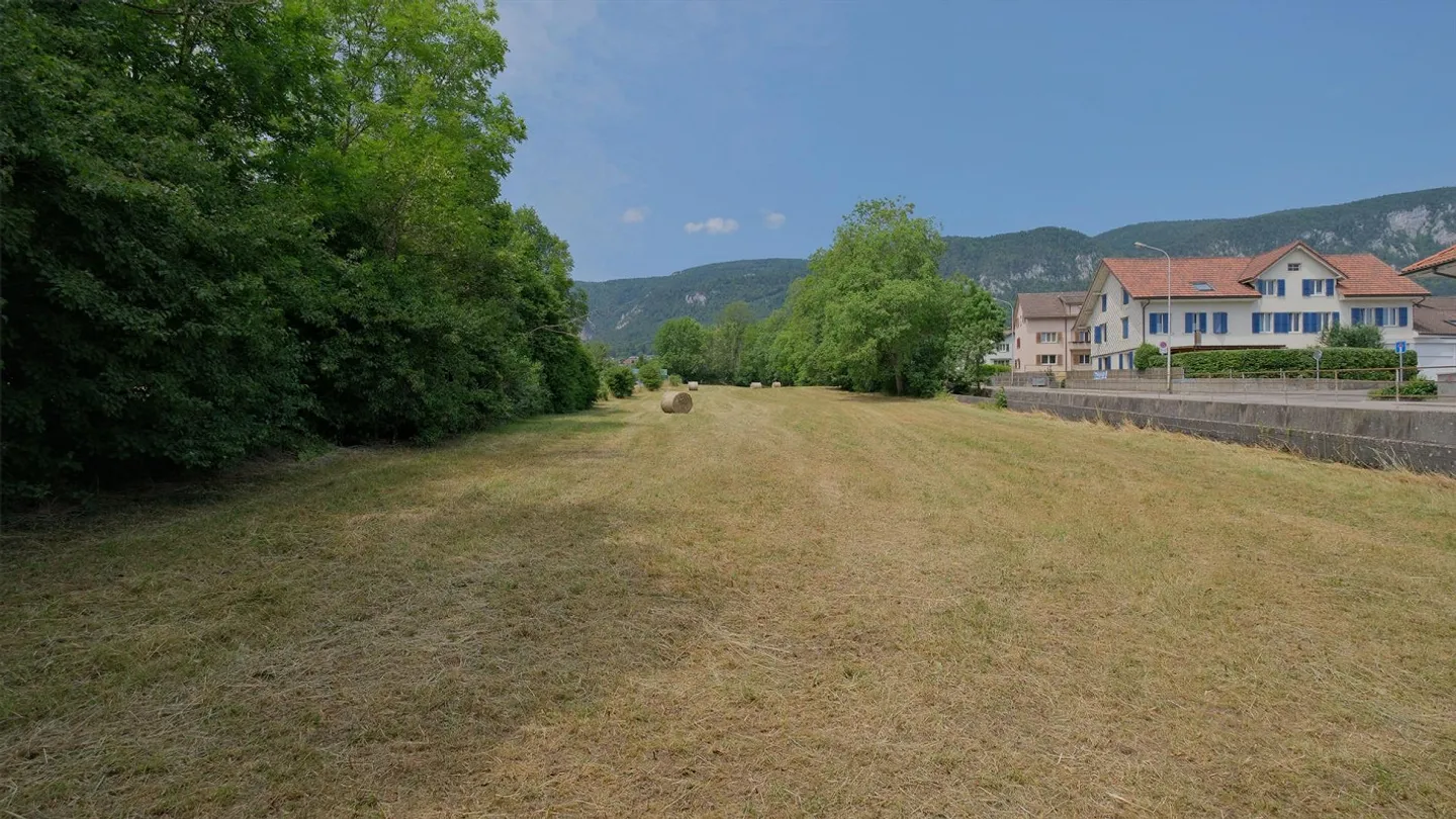 Prime Land Parcel in Langendorf - Photo 3 of 8