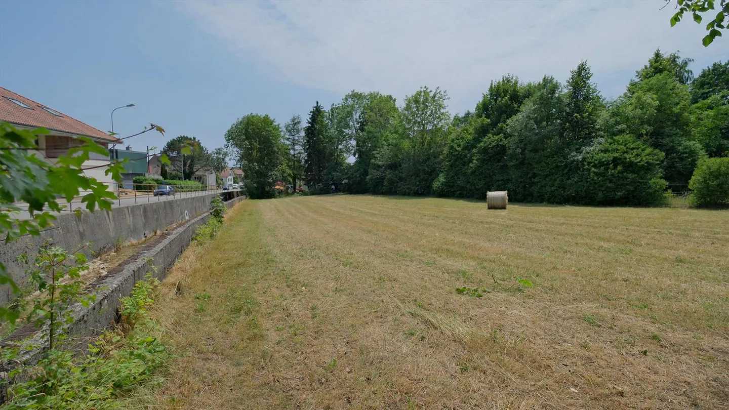 Prime Land Parcel in Langendorf - Photo 5 of 8