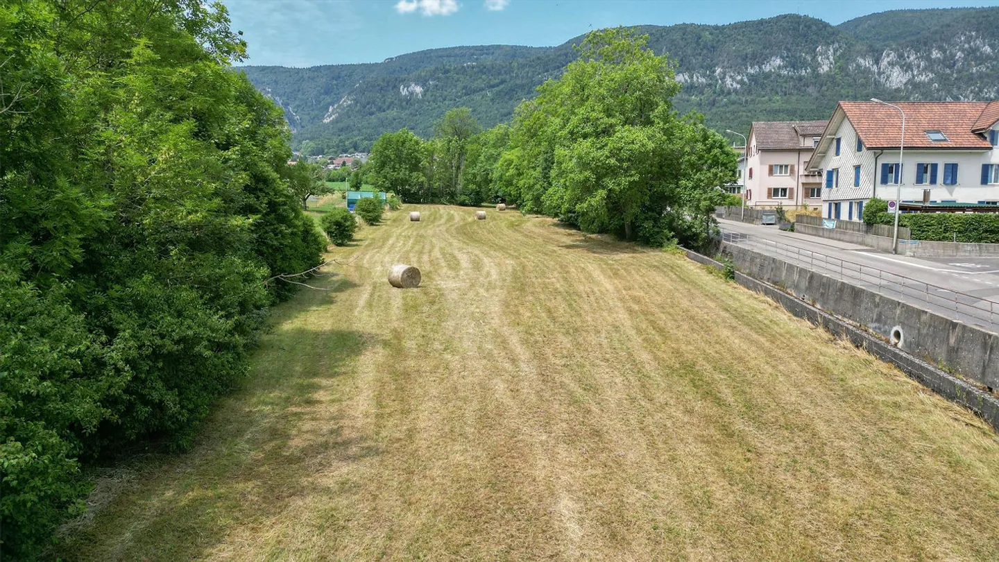 Prime Land Parcel in Langendorf - Photo 6 of 8