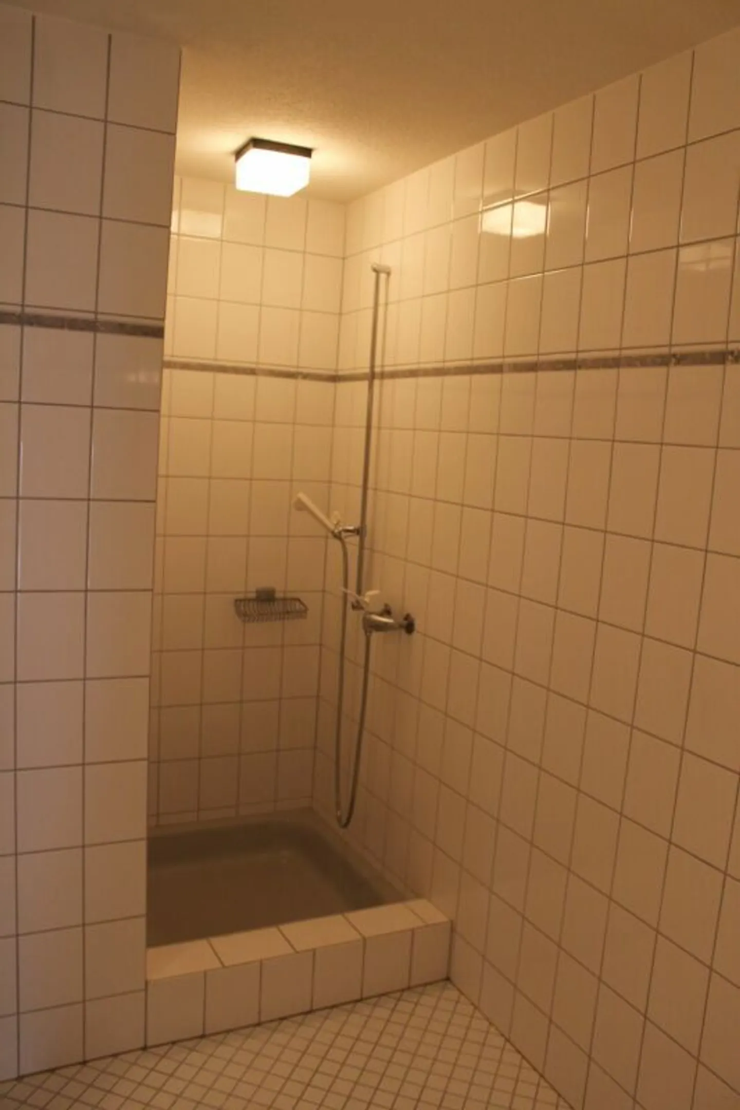 grosszügige 3.5 Zimmer - Wohnung (104m2), mit grosser Terrasse - Foto 7 di 12