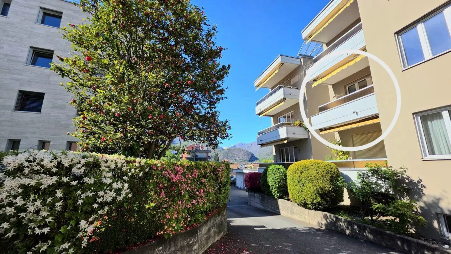 A Corner of Light in Losone, Ready to Become Home! - Photo 6 of 7