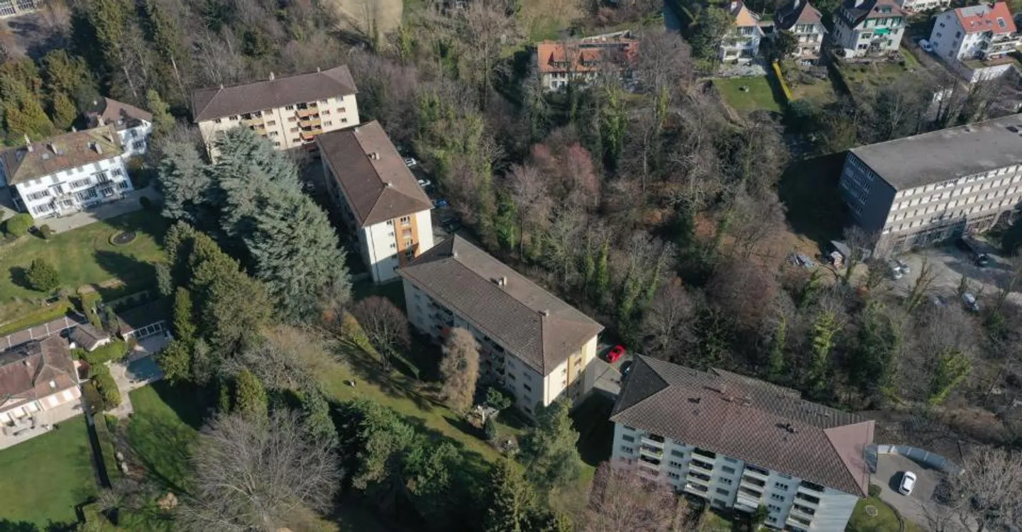 Grünes Viertel - Befristeter Vertrag bis 28.02.2027 - Foto 2 von 5
