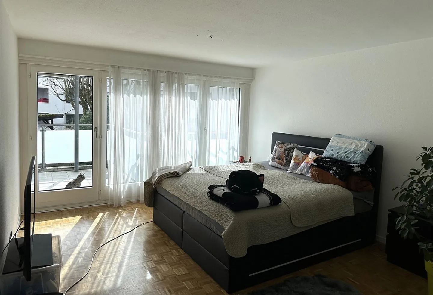 5½-Room Apartment in Buchrain – Ideal for Shared Living, Limited Until the End of 2027 - Photo 6 of 11