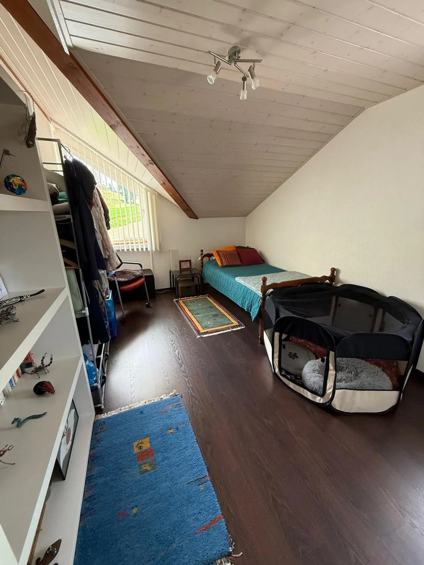 Magnifica casa indipendente al confine con la zona agricola - Foto 7 di 9