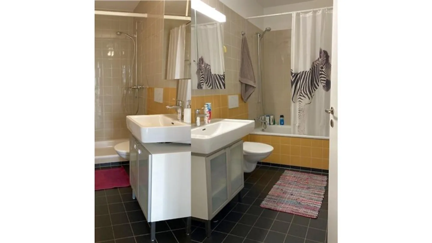 4½ ROOM APARTMENT IN ZURICH - DISTRICT 12, FURNISHED, TEMPORARY - Photo 6 of 8