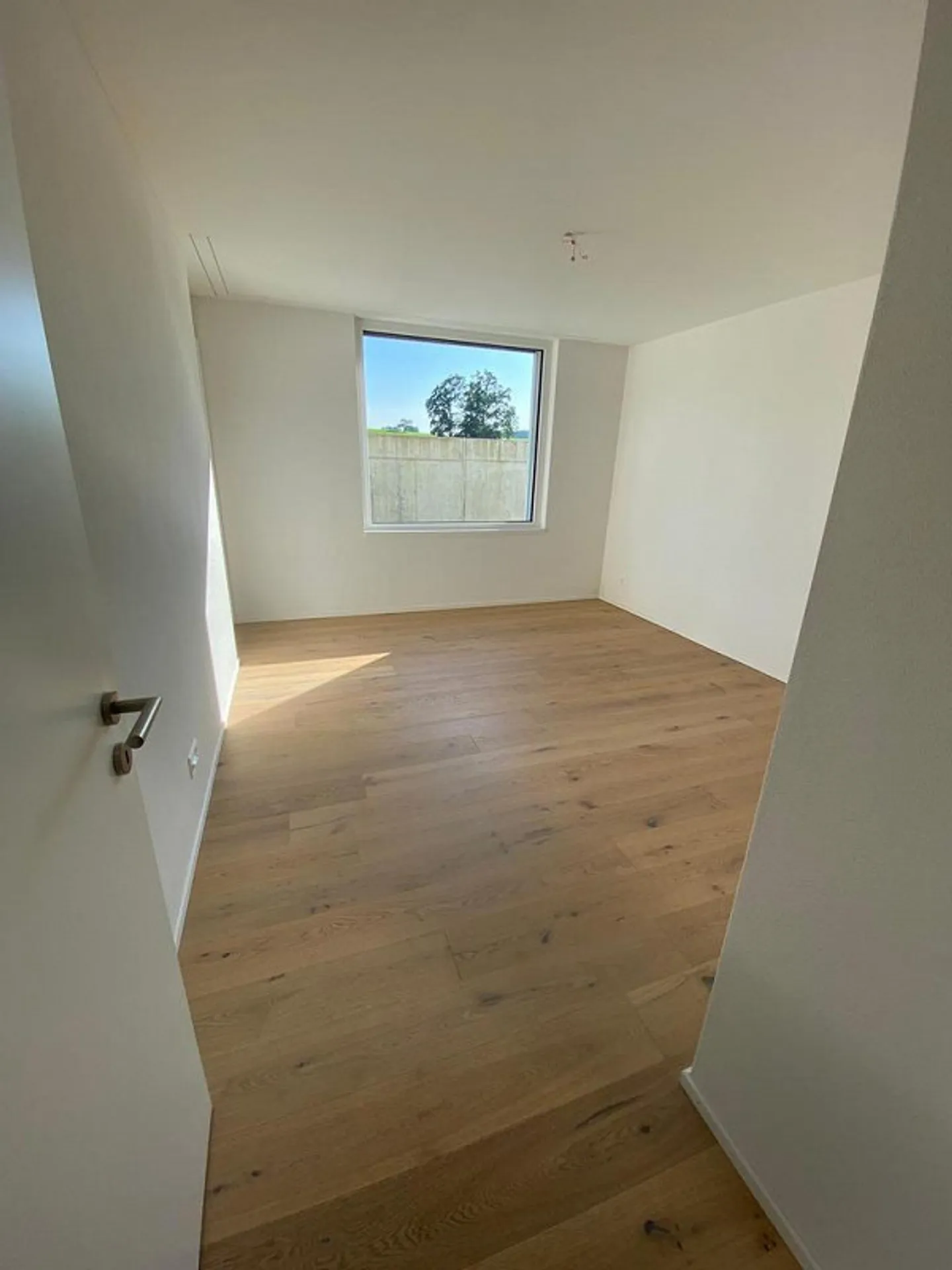 Finalmente trovato - non un sogno - Foto 2 di 9