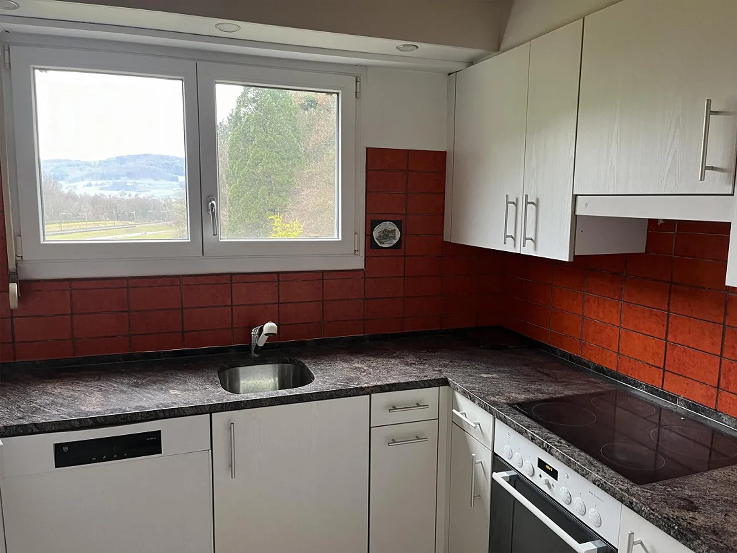 Maison individuelle de 6 pièces avec grand jardin et 2 garages - Photo 3 sur 9