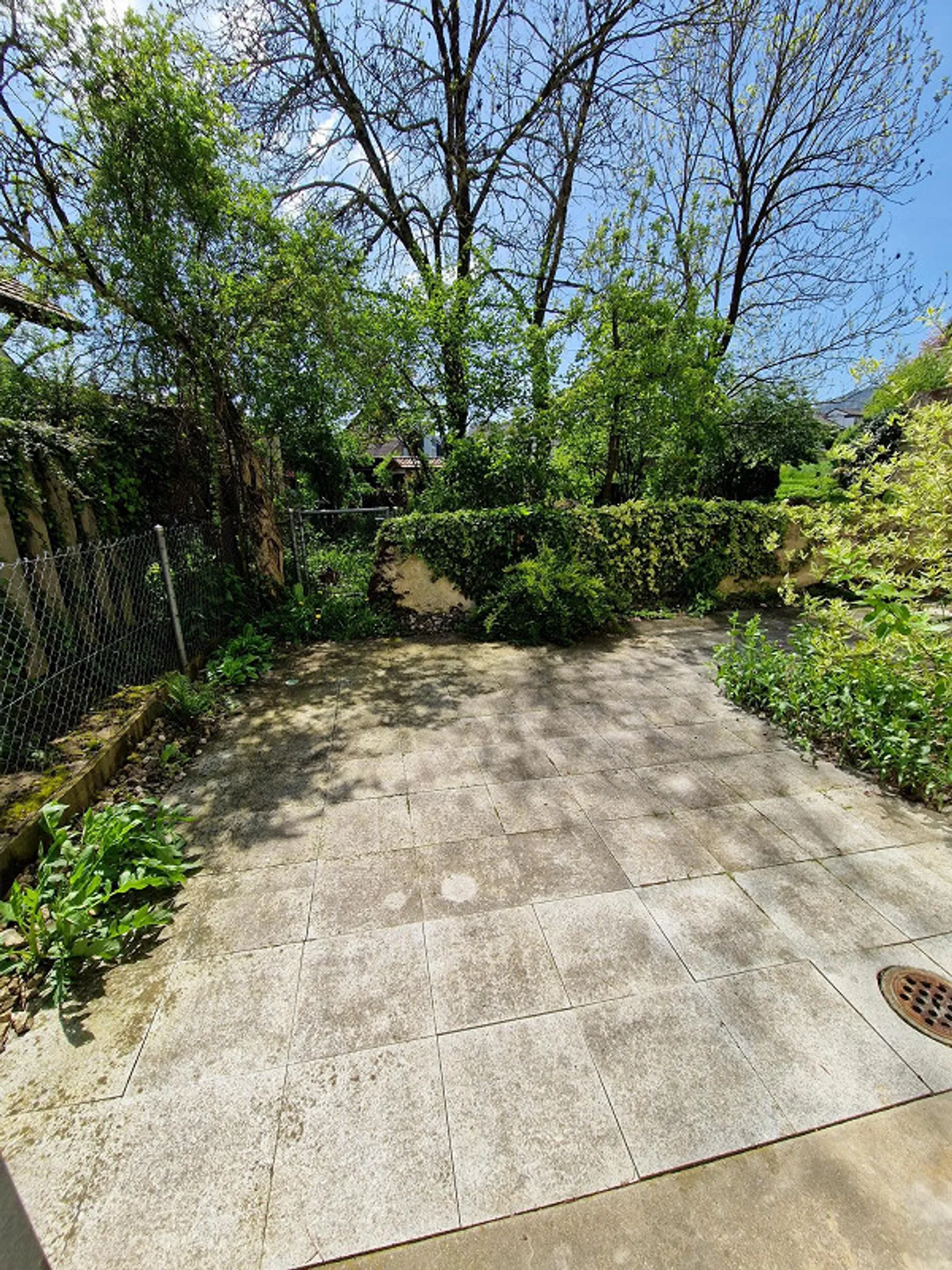 Charmante Parterrewohnung - Foto 5 von 8