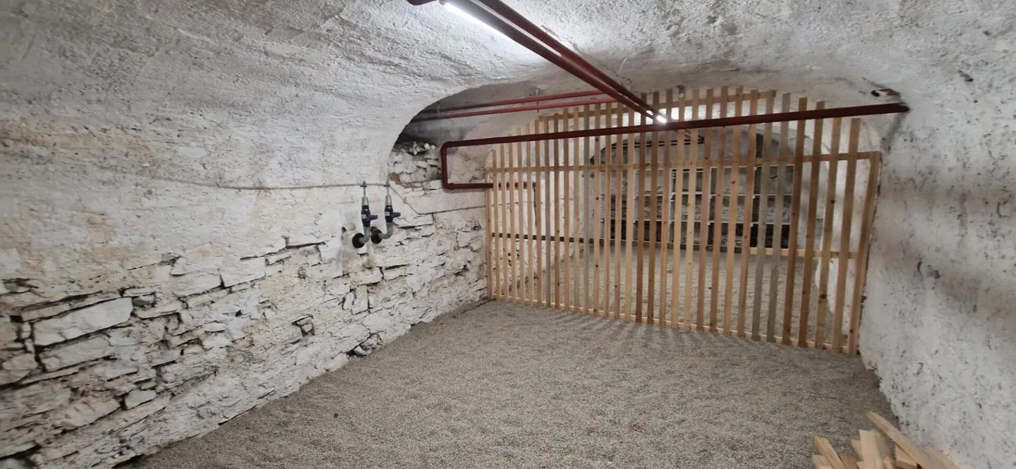 Cave 1 room - Photo 3 of 4
