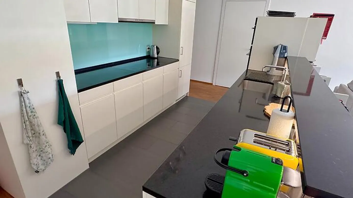 APPARTEMENT 4½ PIÈCES À LUCERNE, MEUBLÉ, TEMPORAIRE - Photo 2 sur 9