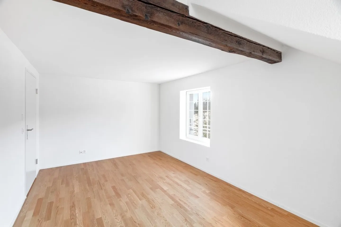 Charming Attic Apartment in Selzach - Photo 4 of 7