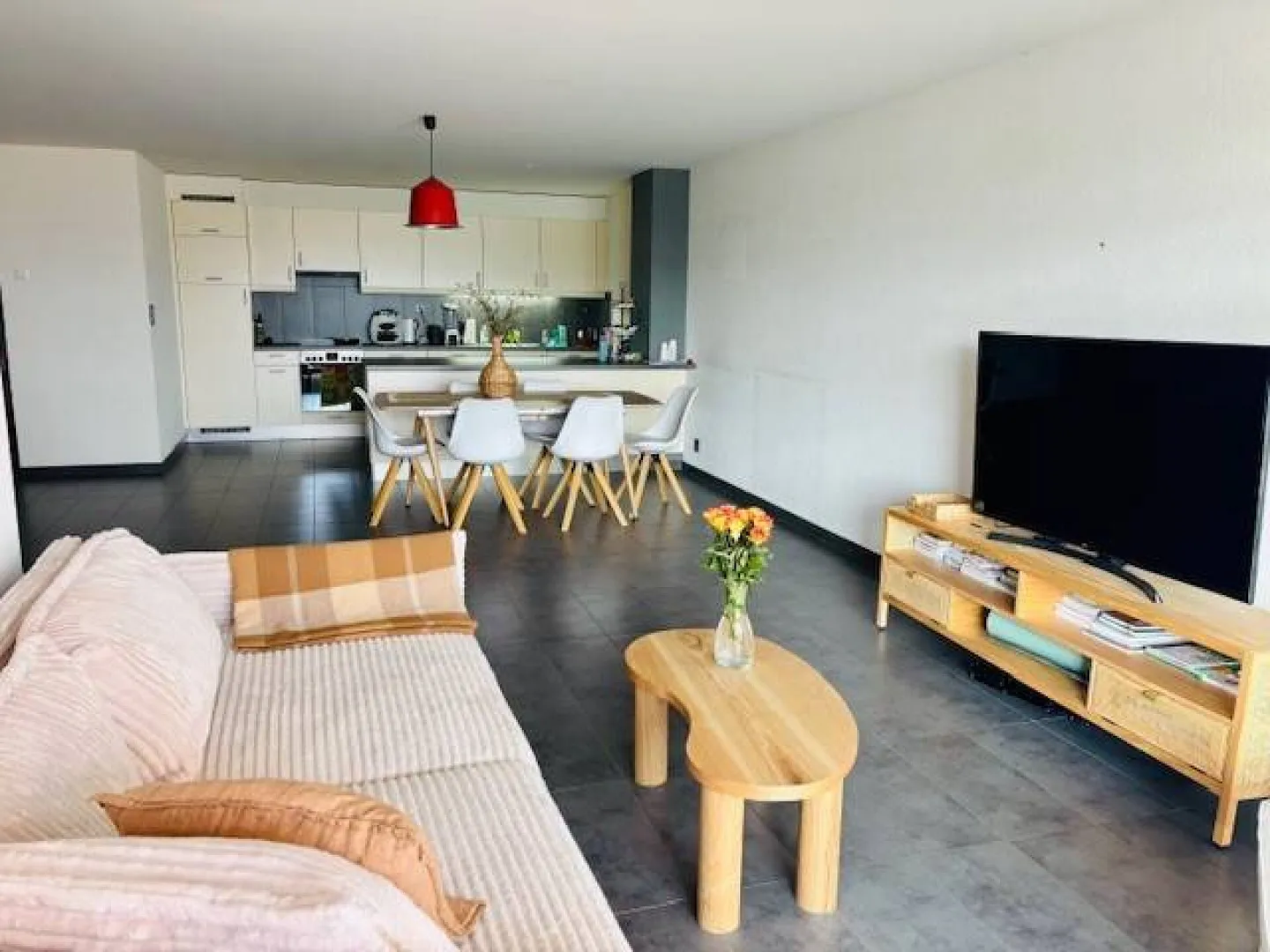 Appartement au bord du lac - Photo 4 sur 9