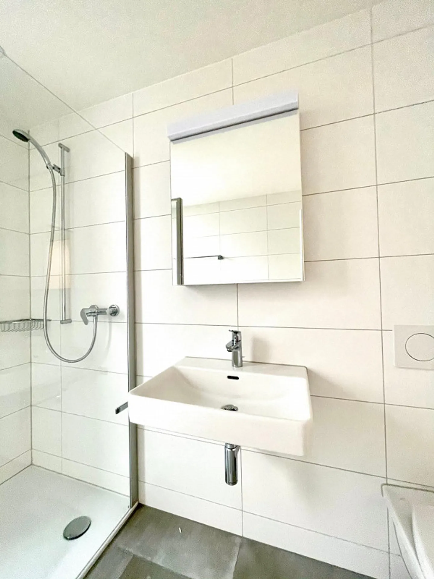 Comfortable Home in St. Gallen - Photo 6 of 13