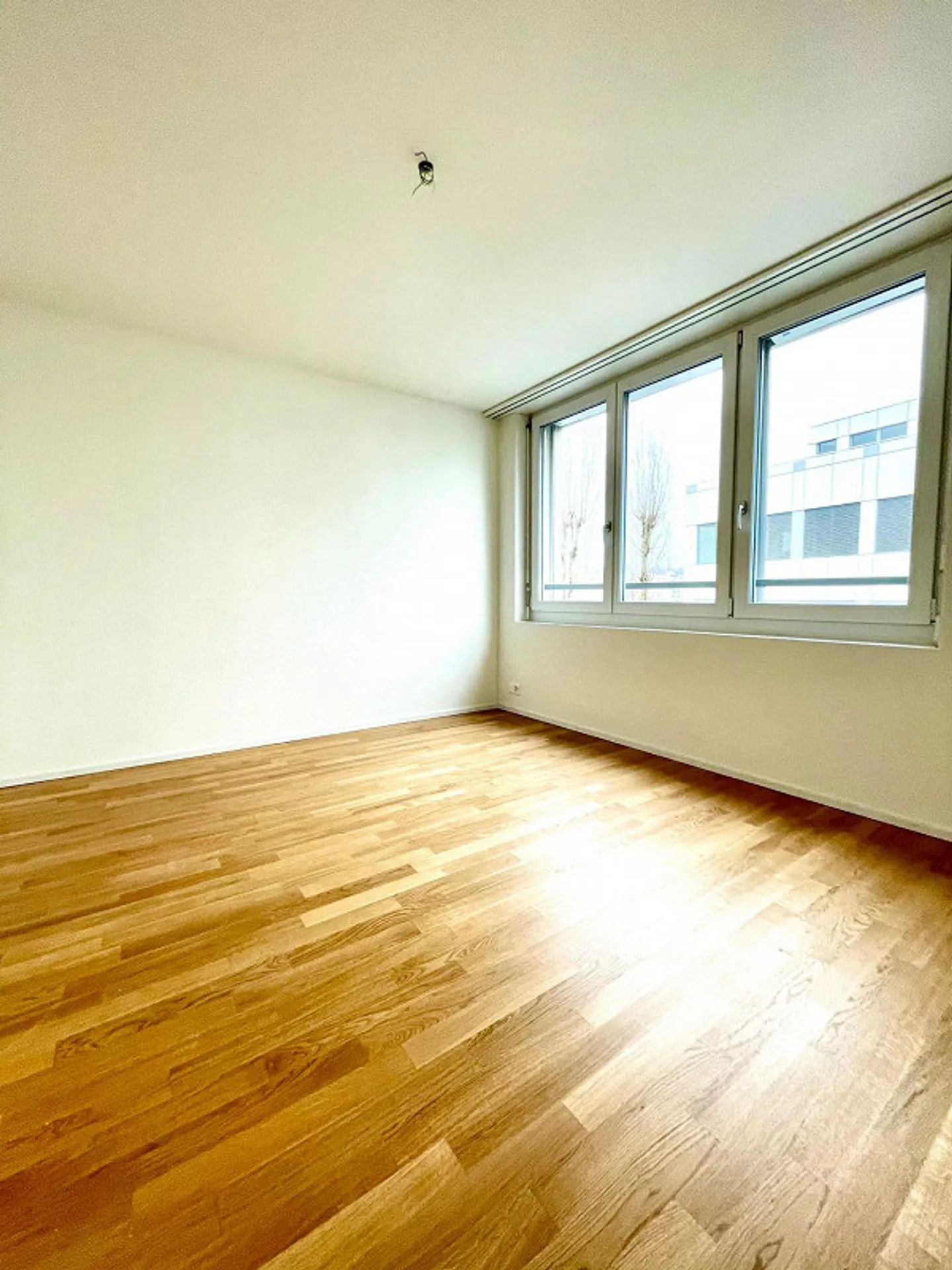 Comfortable Home in St. Gallen - Photo 11 of 13