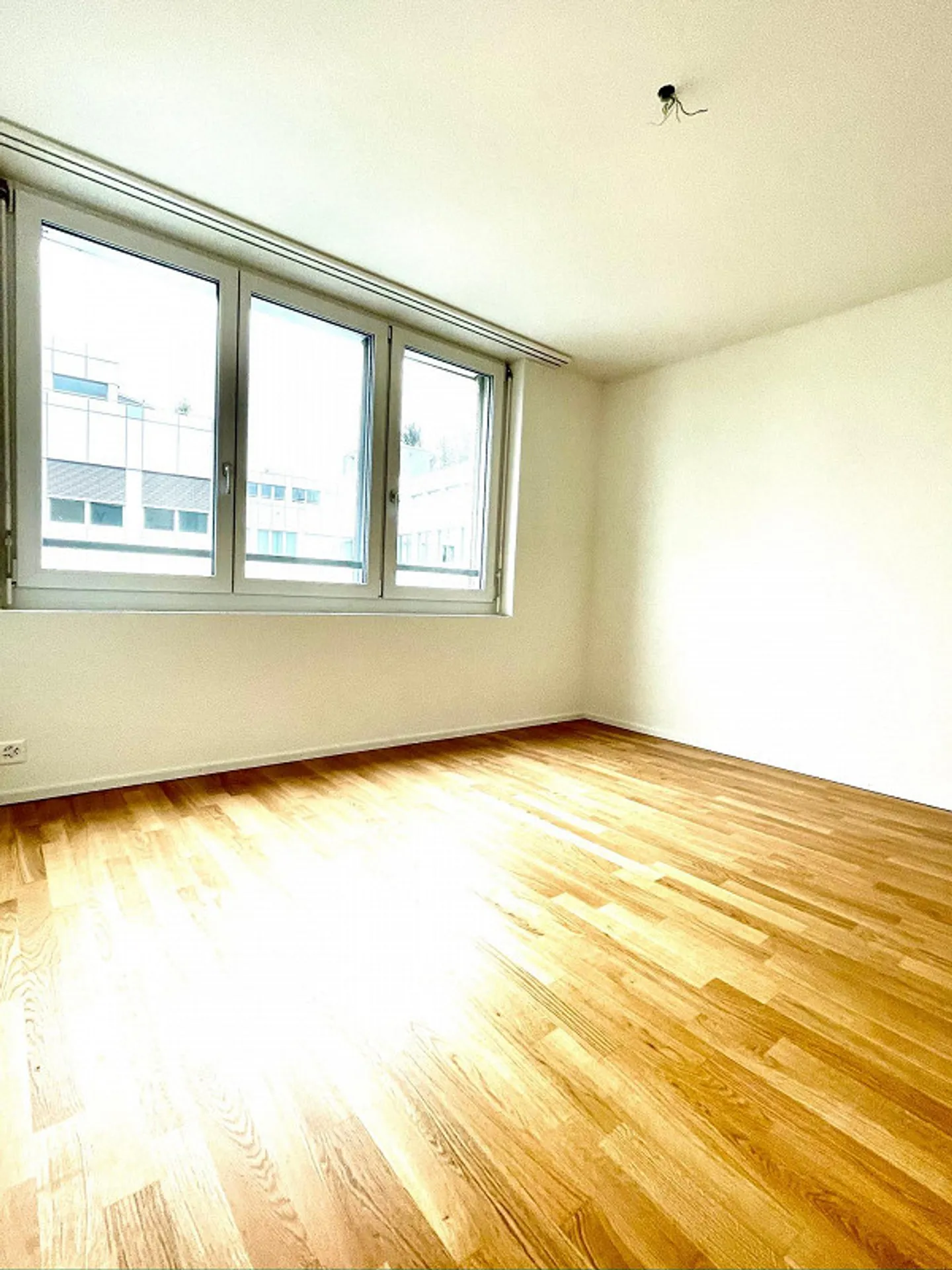 Comfortable Home in St. Gallen - Photo 12 of 13