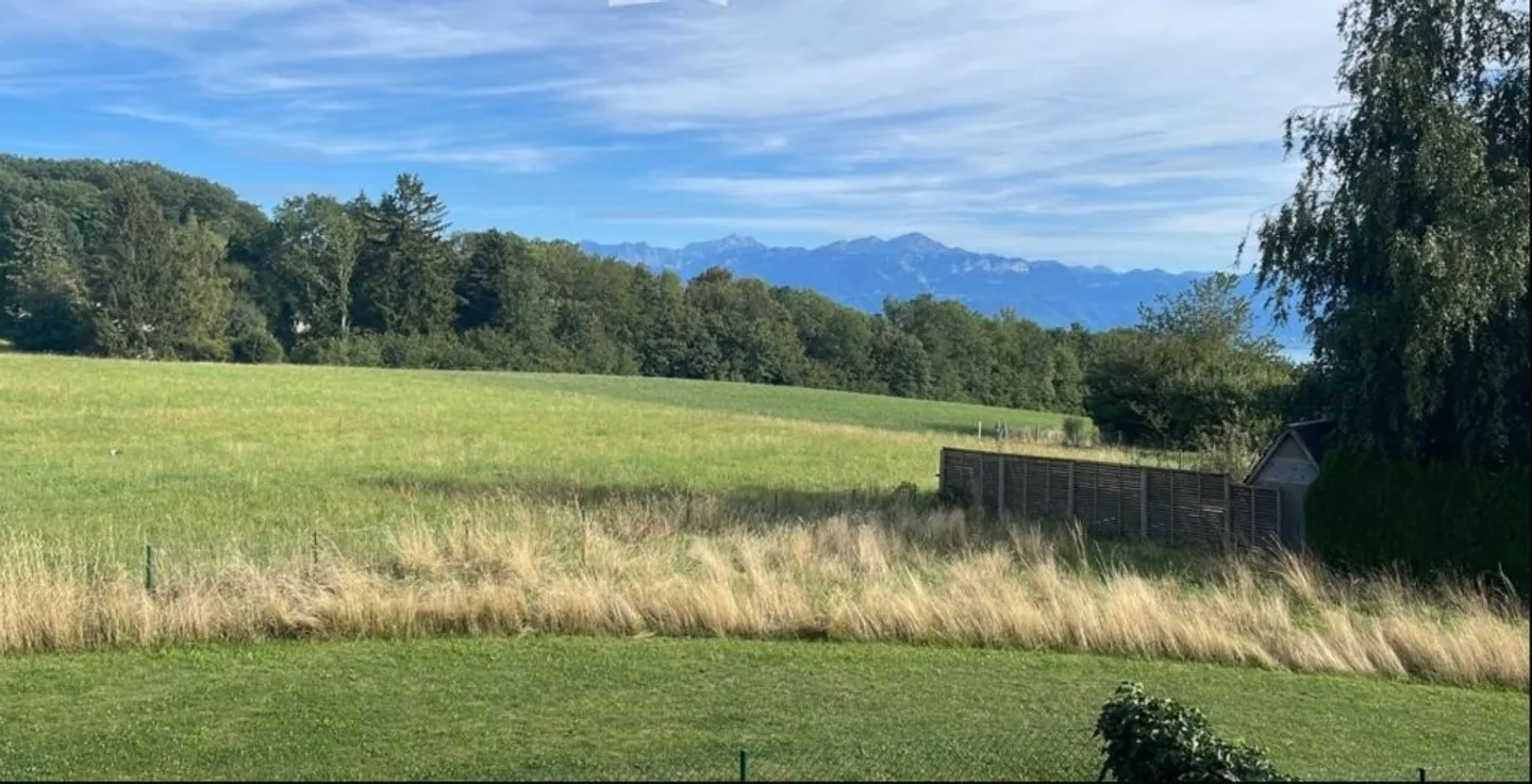 Herrliche 4.5-Zimmer-Wohnung mit Aussicht - Foto 9 von 9