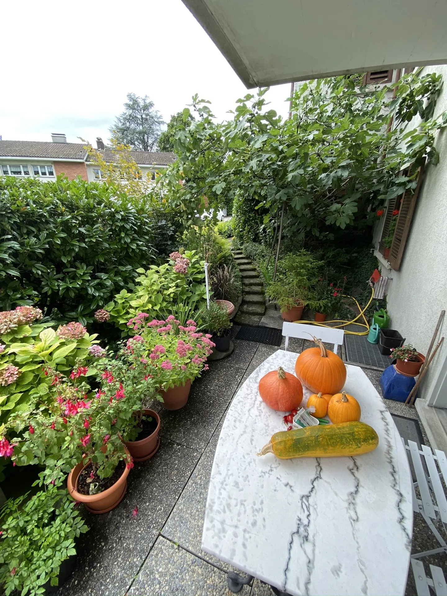 Charmante Gartenwohnung - Foto 4 von 4