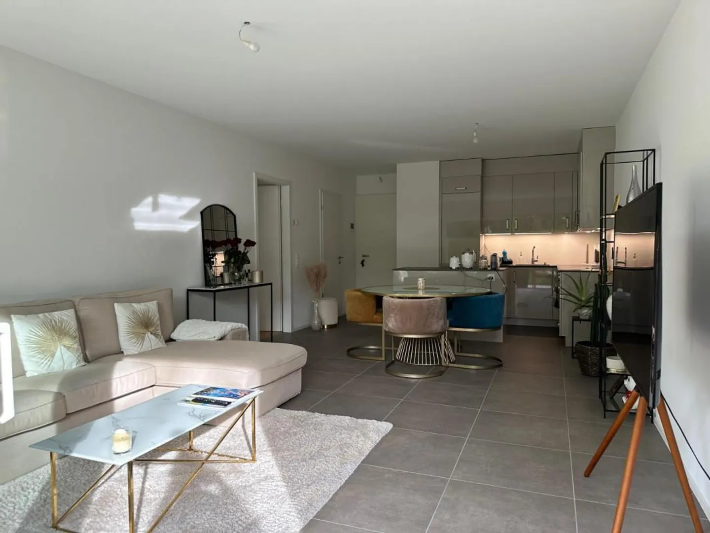 New 3-room apartment on garden level located in Corsier 1246 - Photo 4 of 8