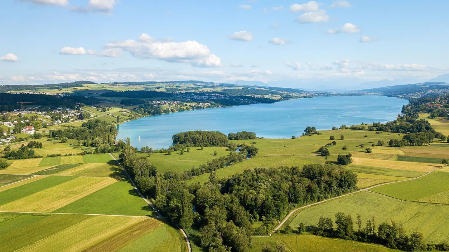 Luxury Apartment in Seengen - Photo 9 of 9