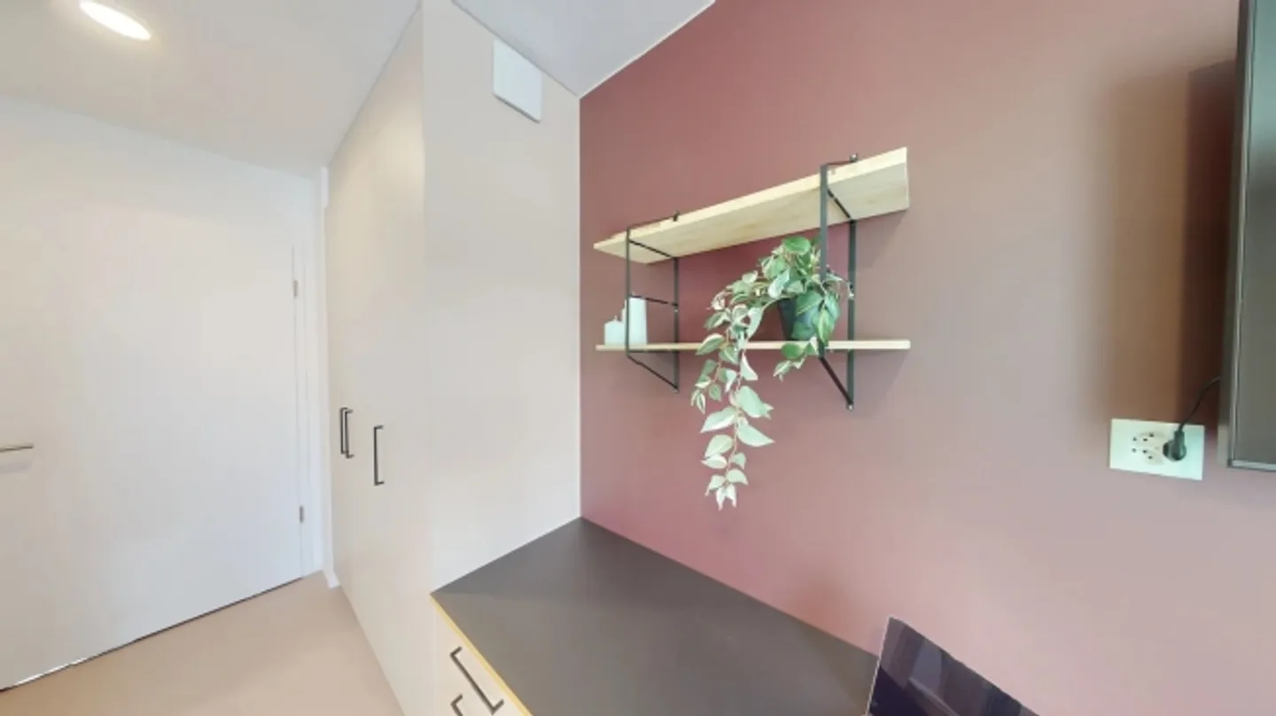 Coliving at Lily: modern living near Lausanne, EPFL and L - Photo 5 of 13