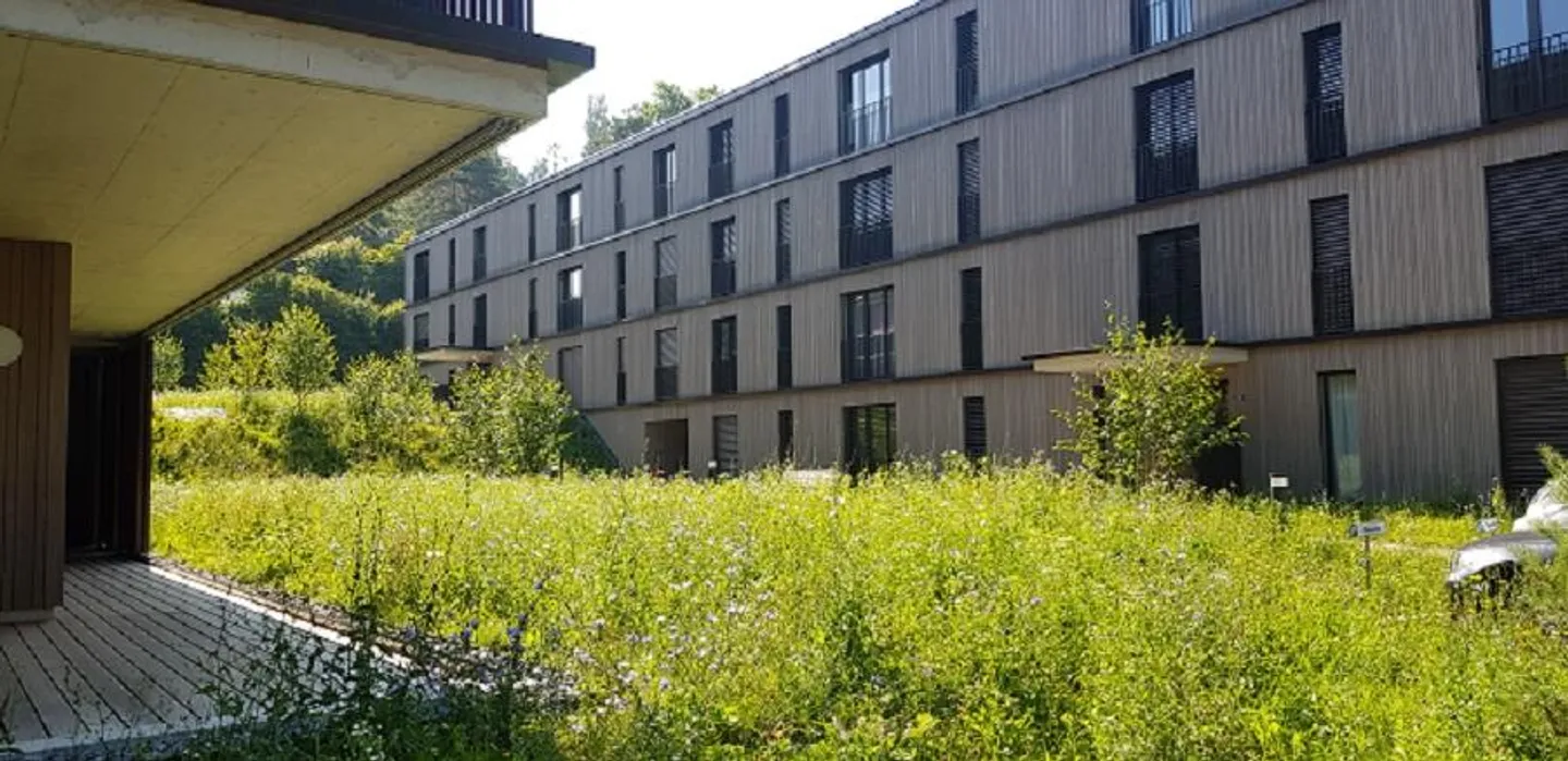 Exklusives Apartment in Ruhiger Lage - Foto 2 von 9