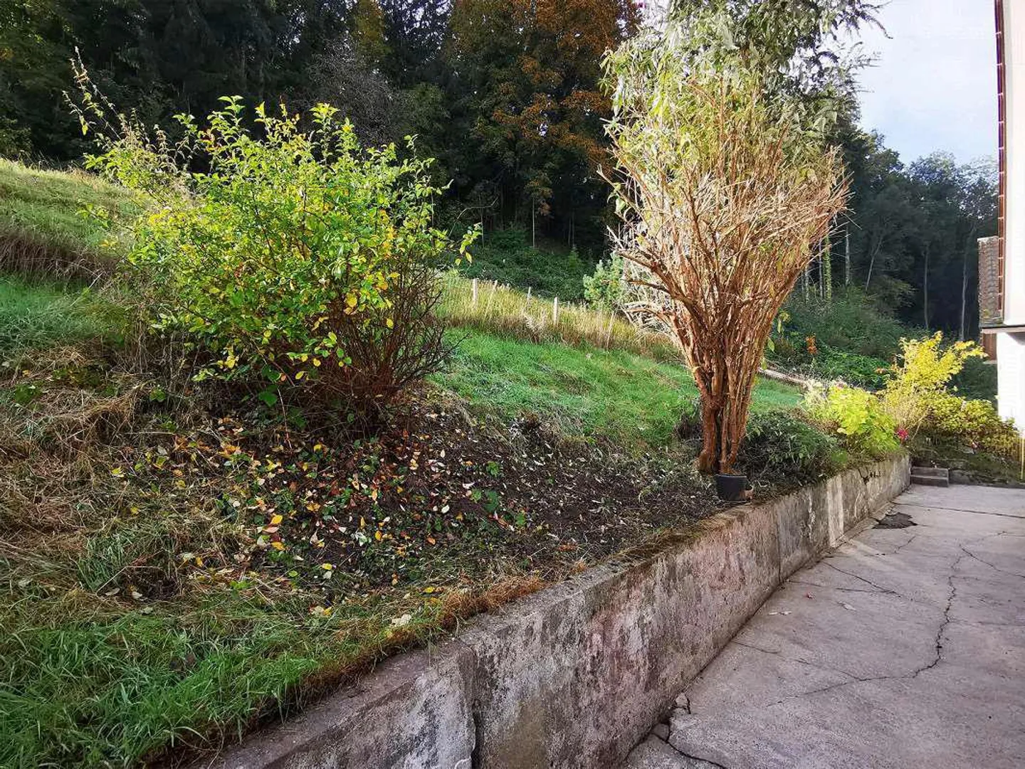 Recherche de locataire : maison individuelle de 4 pièces avec jardin et garage - Photo 21 sur 24