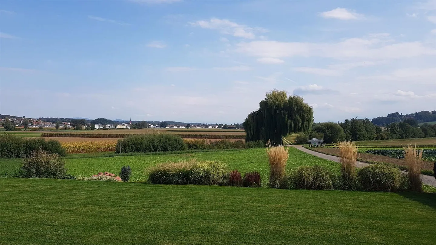 am Rande von Wohlen AG - Foto 1 von 8