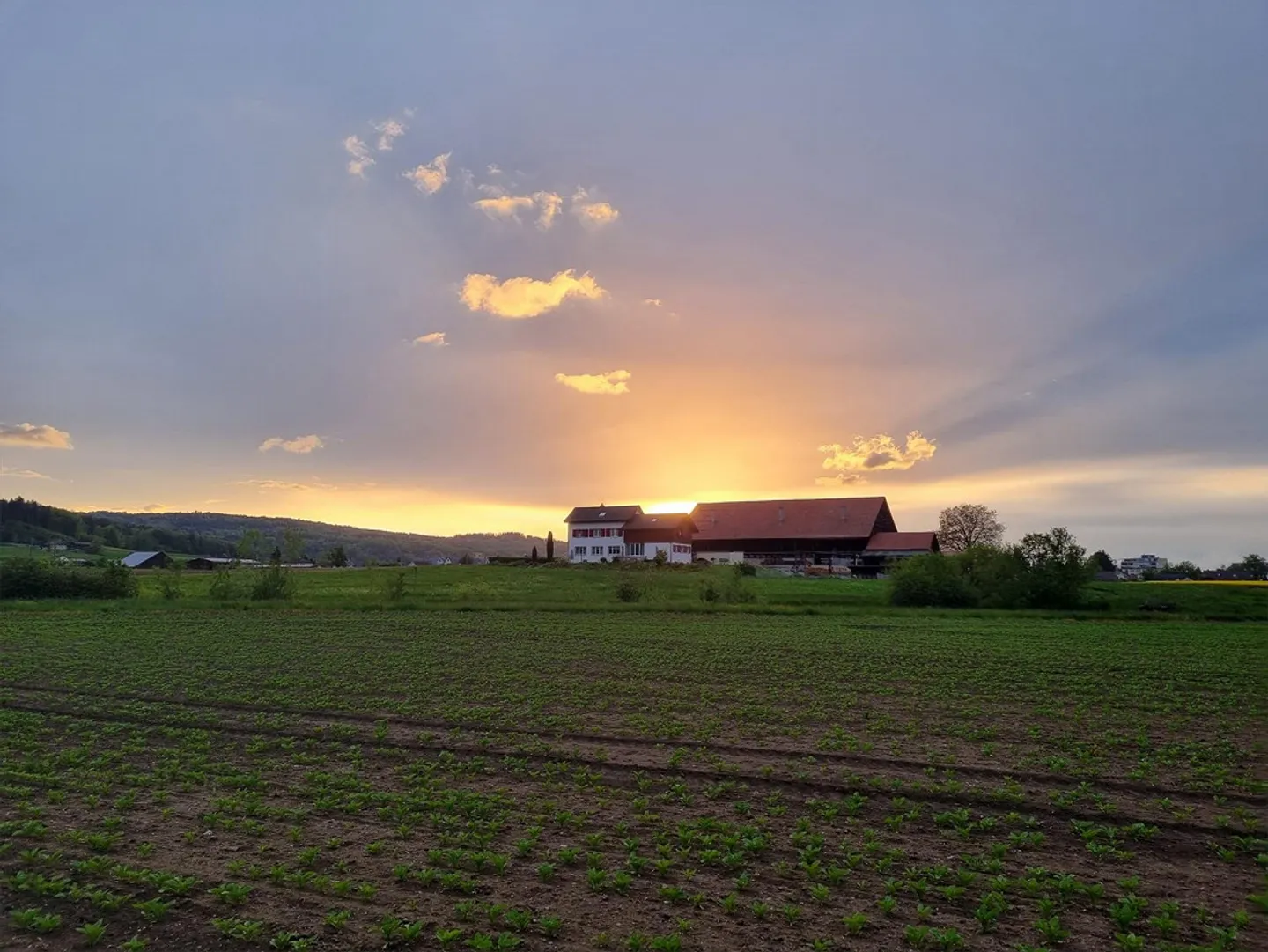 am Rande von Wohlen AG - Foto 8 von 8