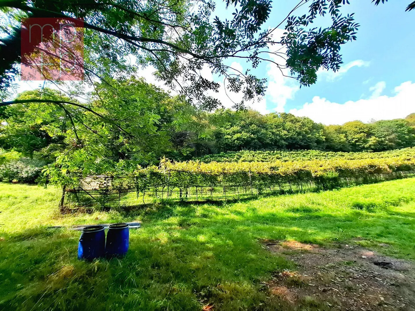 Terreno edificabile - Bosco Luganese - Foto 1 di 8