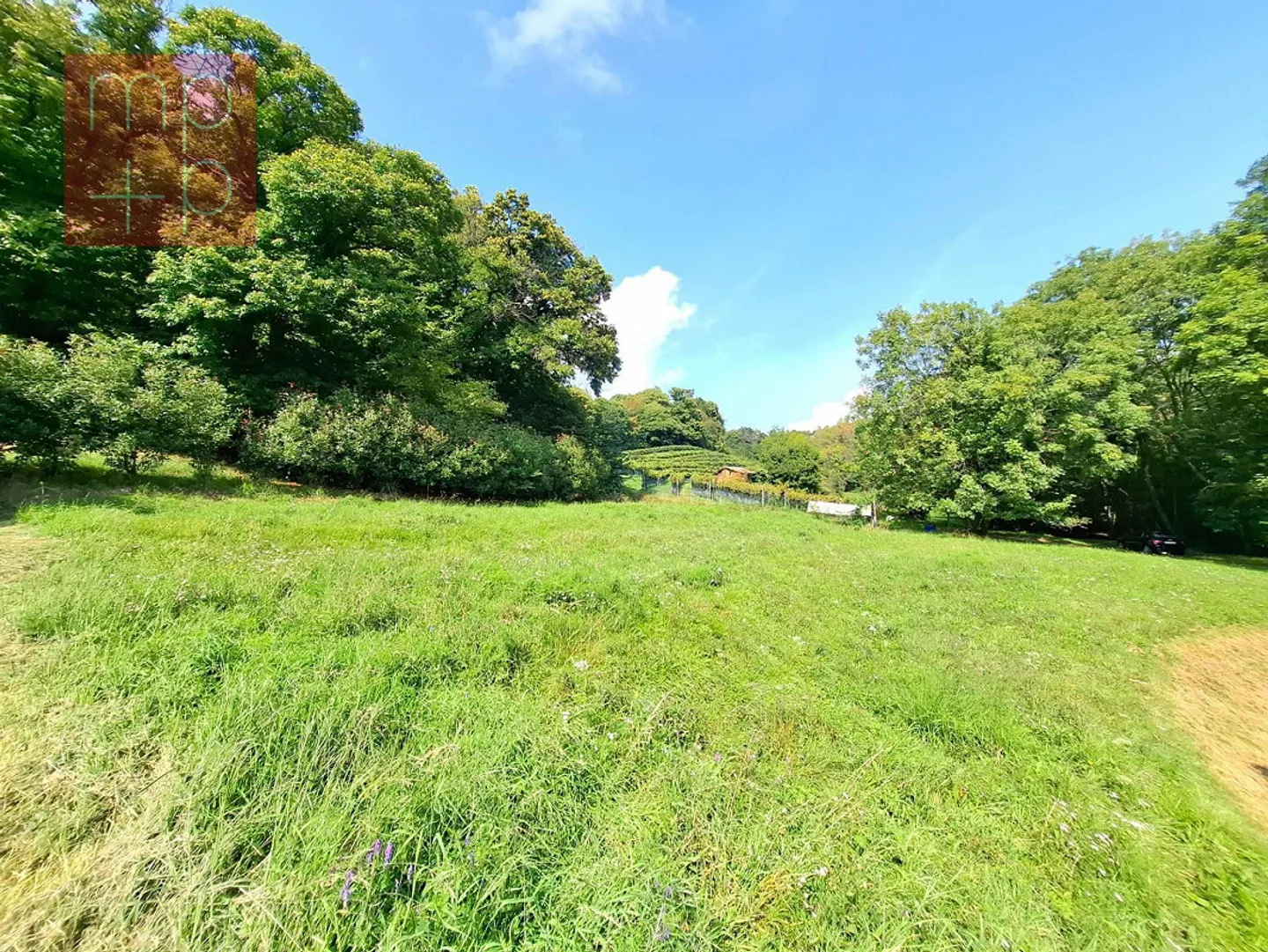 Terreno edificabile - Bosco Luganese - Foto 6 di 8