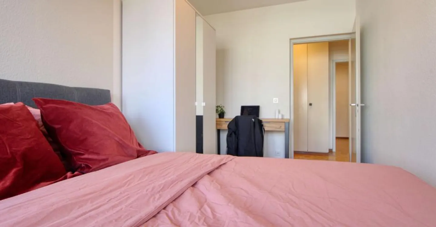 Modern Coliving Apartment in Geneva - Photo 4 of 17