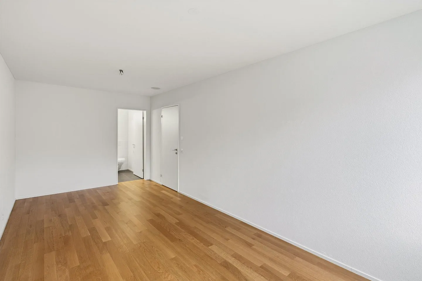 Large, New Apartment - Photo 9 of 30