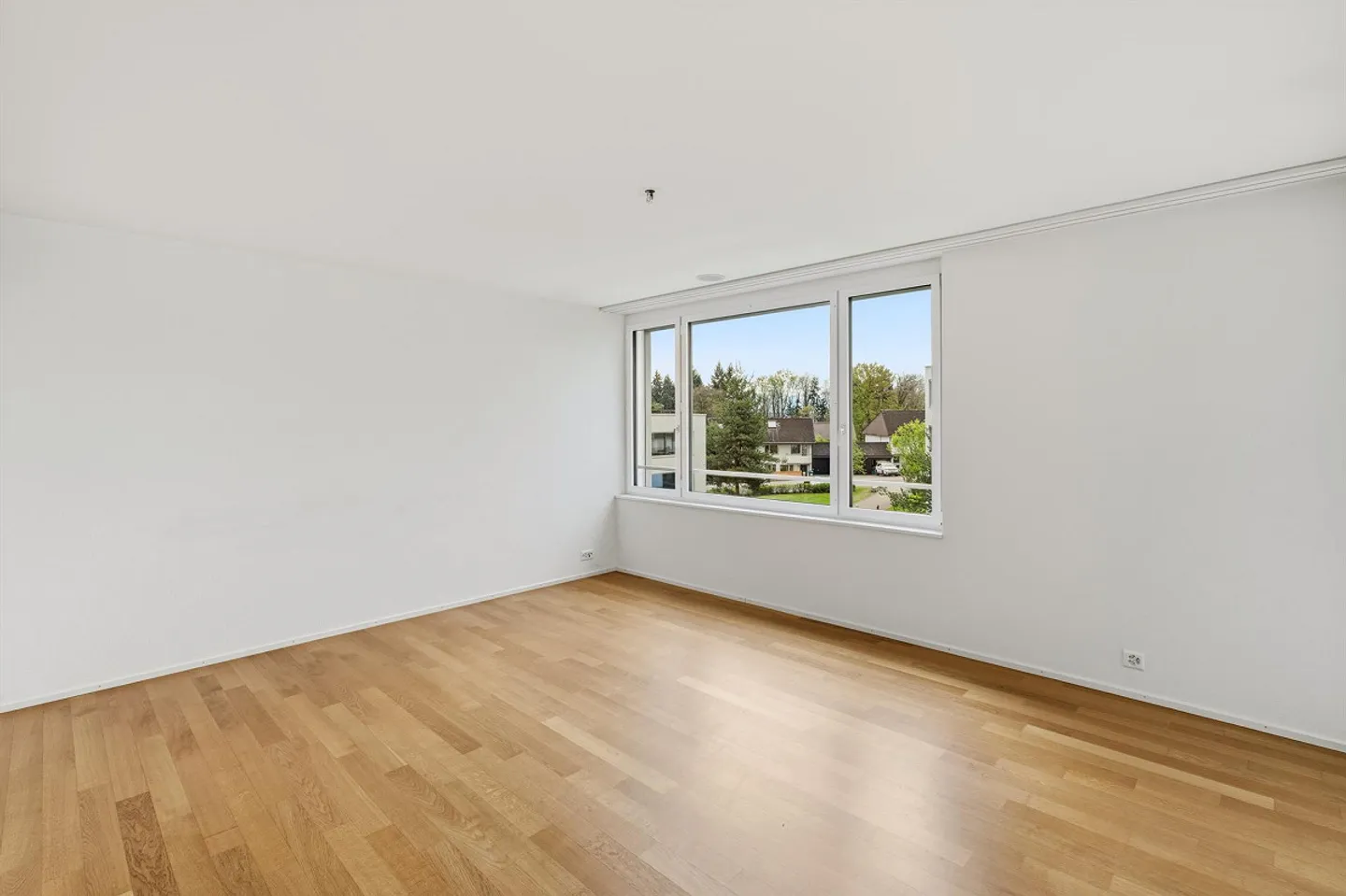 Large, New Apartment - Photo 4 of 30