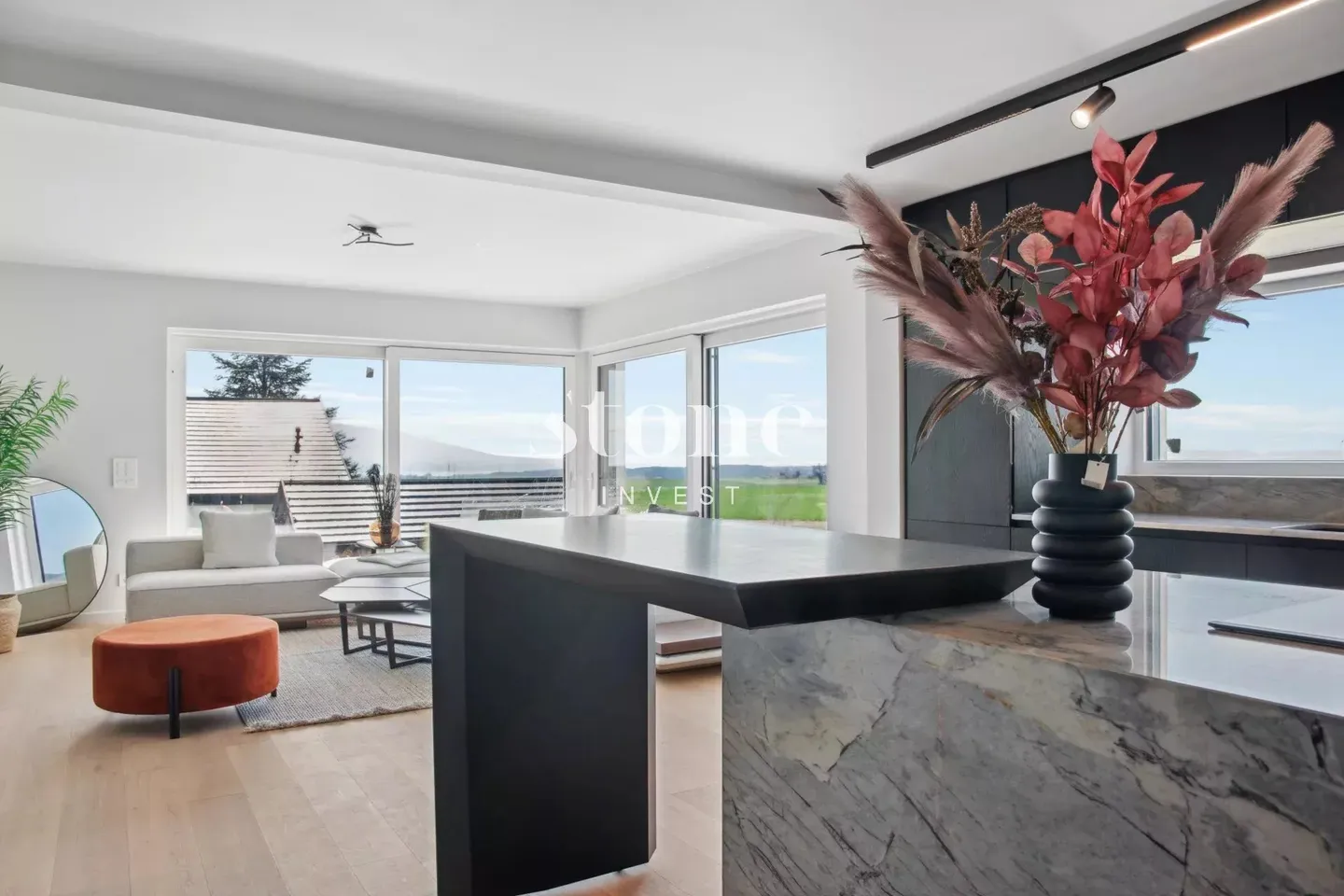 Contemporary Villa in Chéserex - Photo 1 of 12