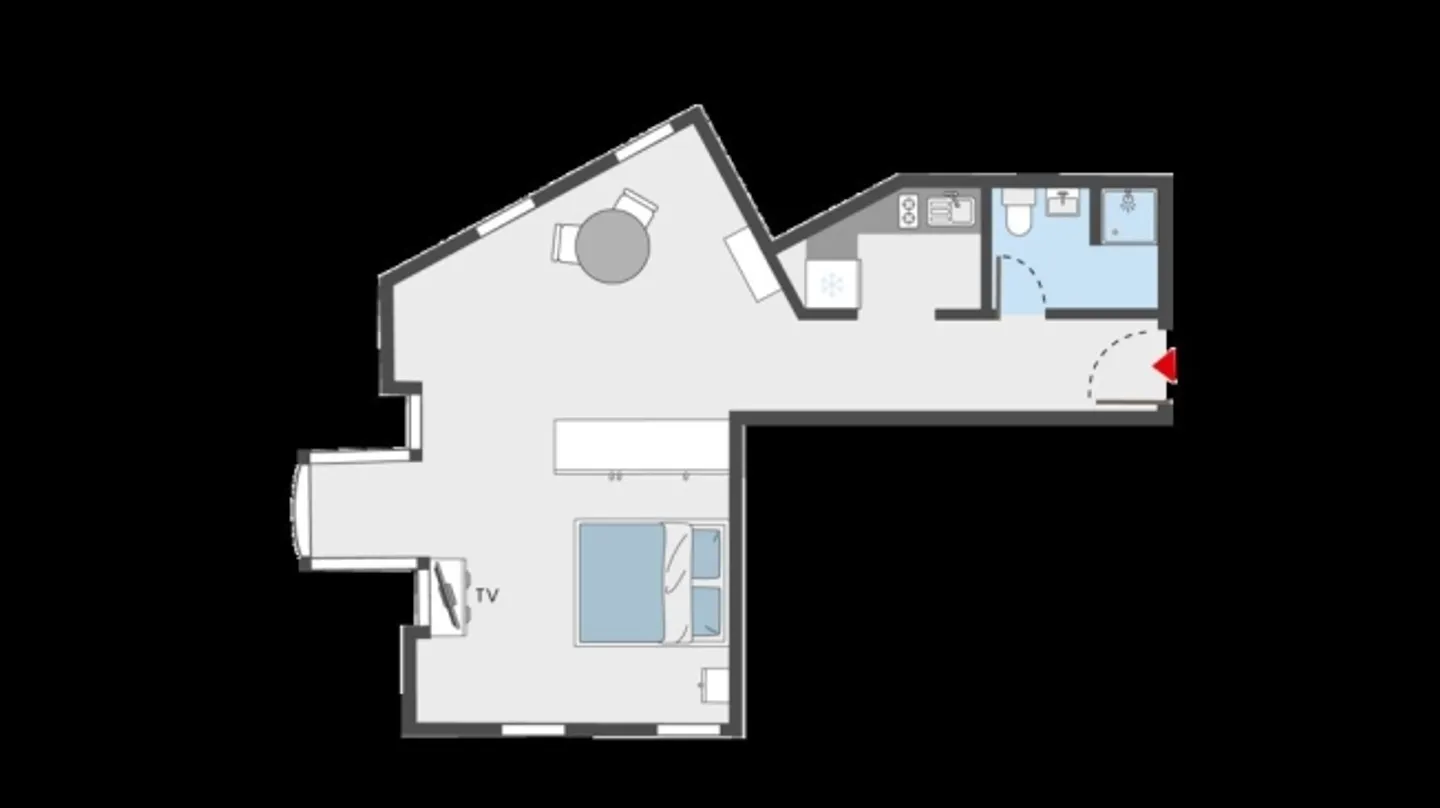 Furnished Apartment in the Heart of Zurich - Photo 5 of 6