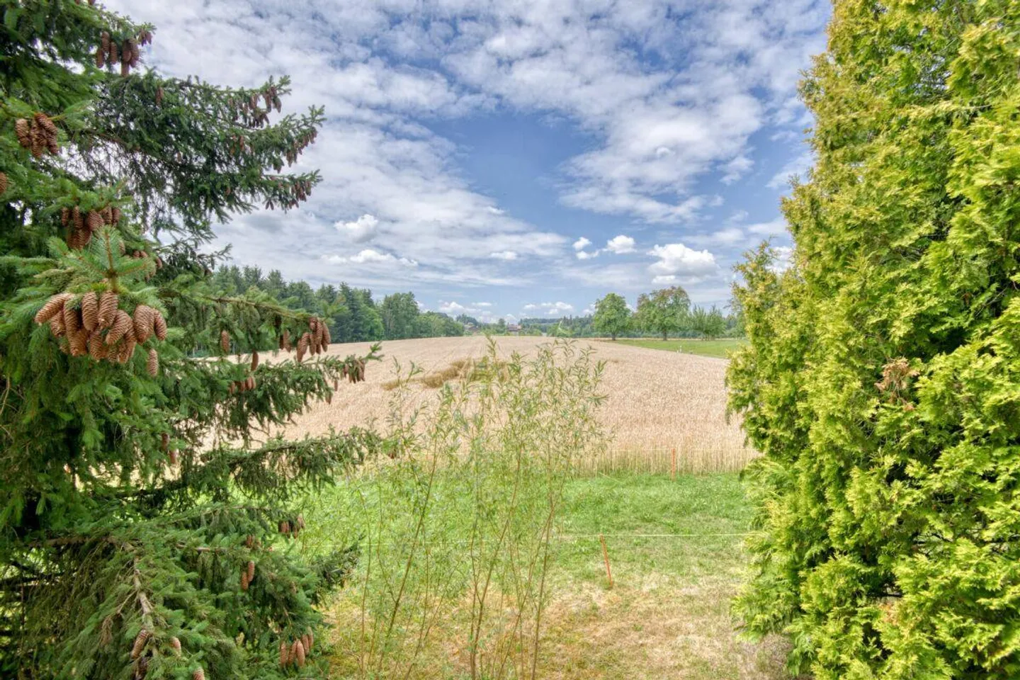 Appartement lumineux de 6½ pièces avec balcon et vue dégagée sur la verdure - Photo 21 sur 22