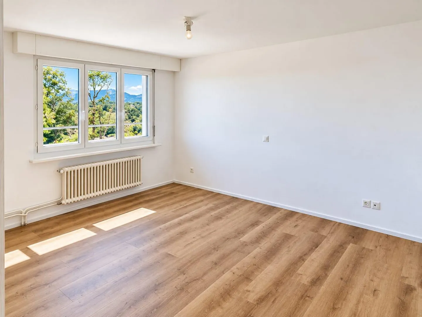 Penthouse apartment with huge terrace and view to Lake Constance - Photo 6 of 9