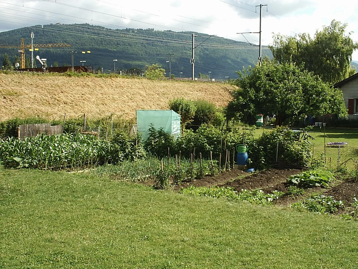 Appartamento in affitto - Foto 5 di 5