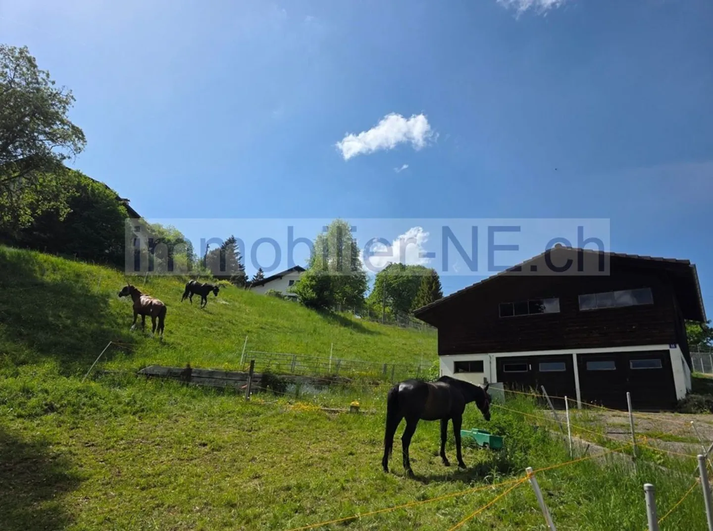 Terreno soleggiato con potenziale - Foto 1 di 2