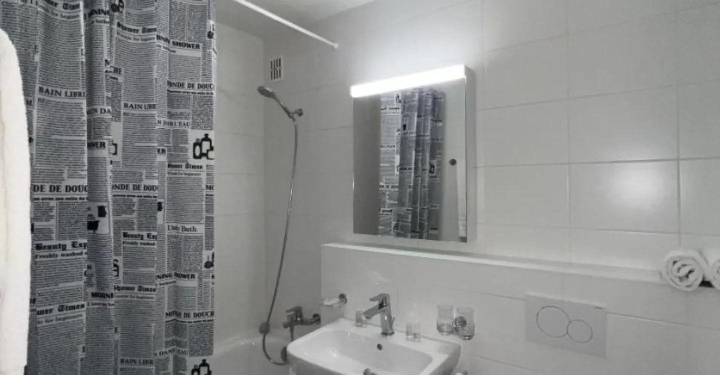 Appartamento arredato 1.5 stanze - Foto 3 di 6