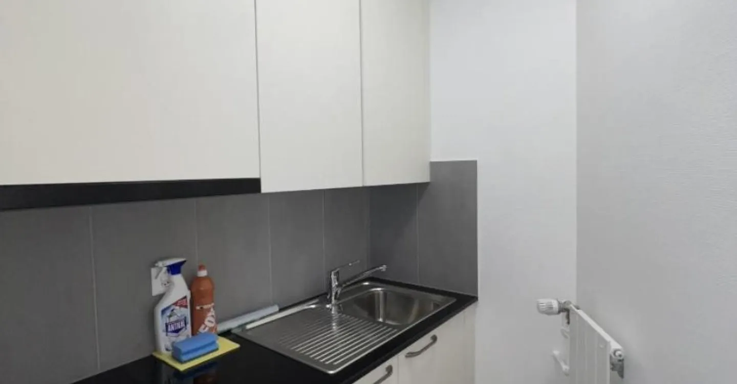 Appartamento arredato 1.5 stanze - Foto 5 di 6
