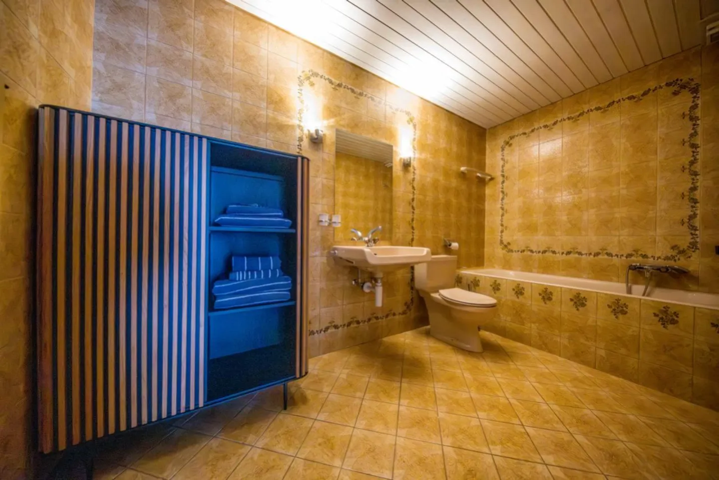 Luxury Duplex in Sion - Photo 7 of 8