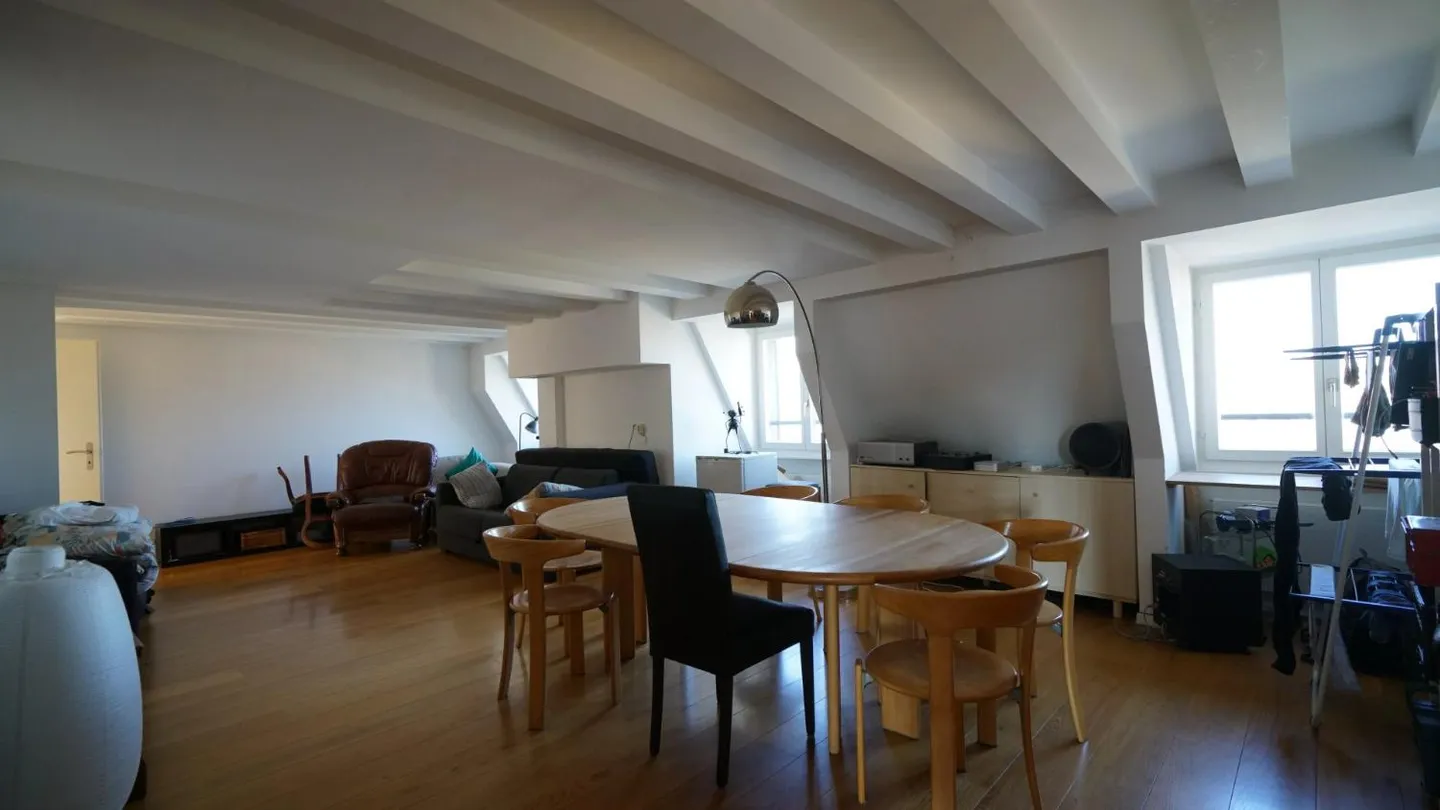 Recent attic with unobstructed view in Petit-Saconnex - Photo 7 of 13