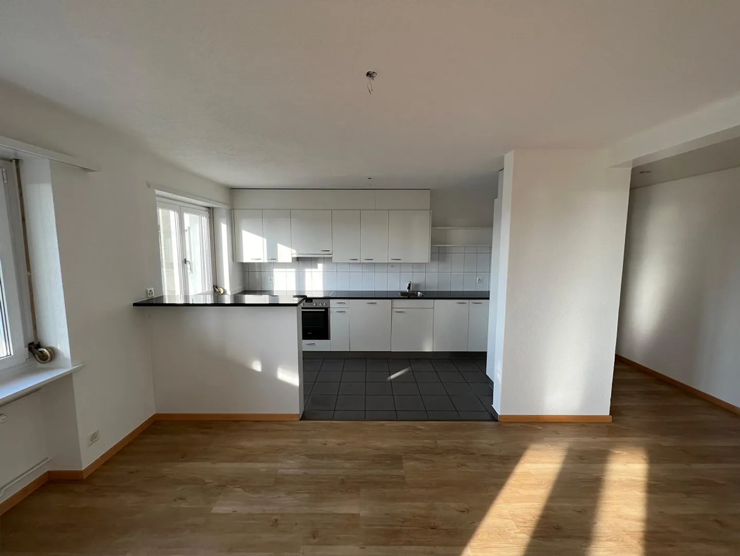 Modern Apartment with Lake View - Photo 2 of 8