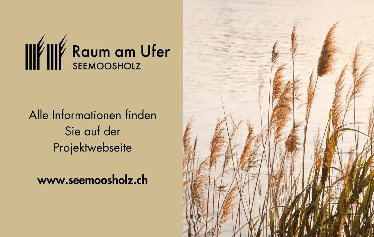 Your Home in the Green – Stylish Living by Lake Constance - Photo 8 of 9