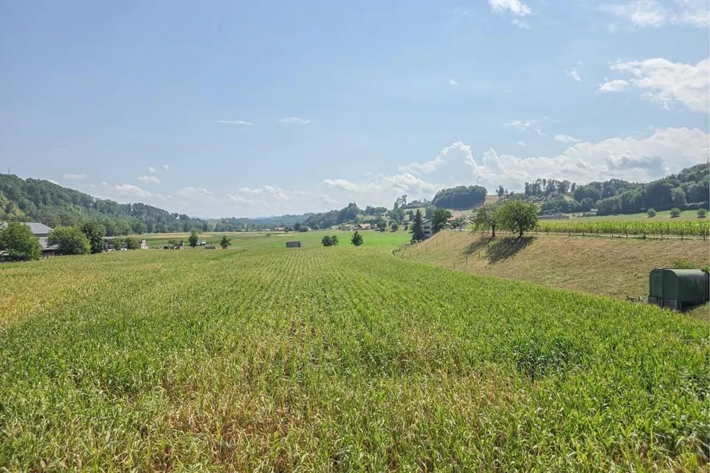 Vista soleggiata, molta tranquillità e una casa in cui sentirsi bene - Foto 9 di 13