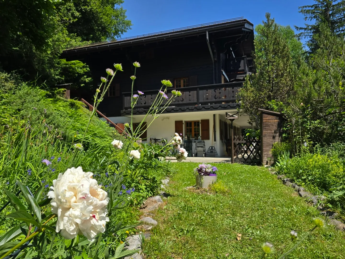 Chalet Muir Woods - grüne Umgebung, nahe Verkehrsanbindung - Foto 3 von 22