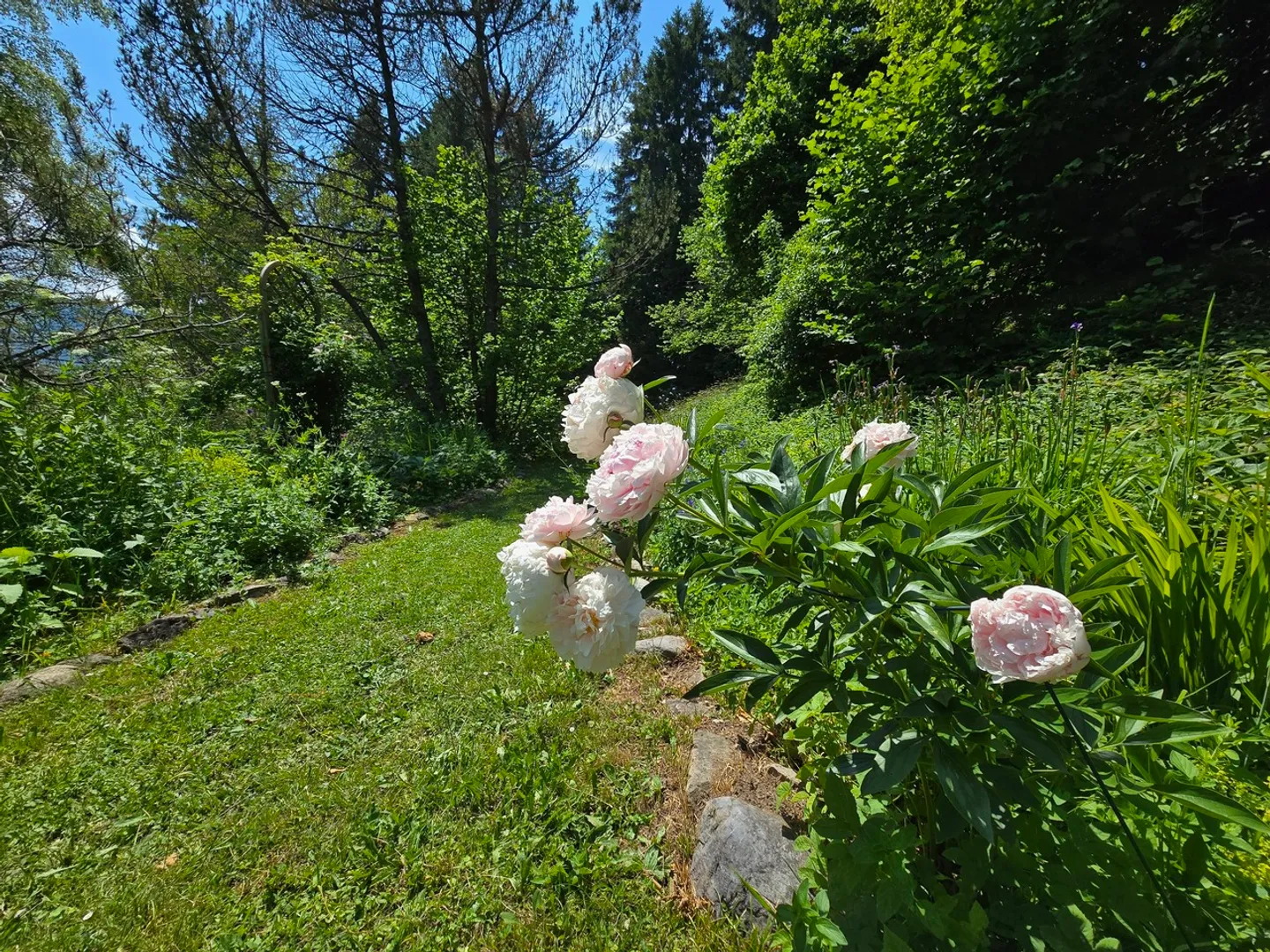 Chalet Muir Woods - grüne Umgebung, nahe Verkehrsanbindung - Foto 4 von 22