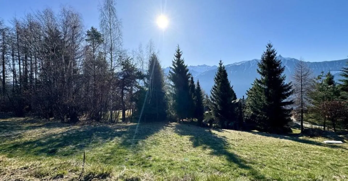 Land in Ovronnaz - Photo 9 of 9