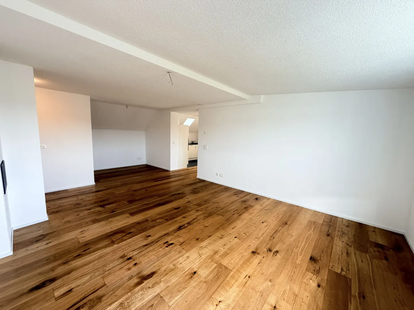 5.5 Room Apartment - Photo 4 of 18